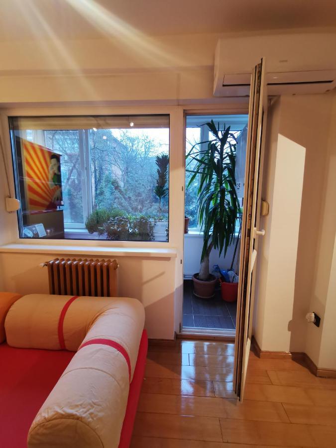 Comfy & Pleasant Apartment 10 Min Walk To Downtown Timişoara Eksteriør bilde