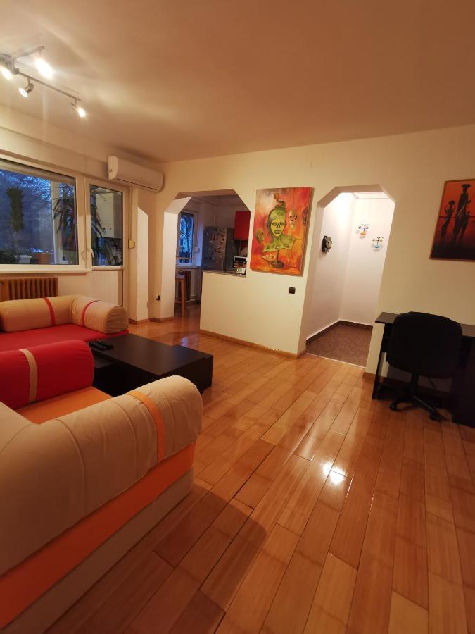 Comfy & Pleasant Apartment 10 Min Walk To Downtown Timişoara Eksteriør bilde
