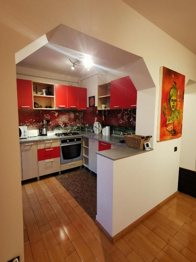 Comfy & Pleasant Apartment 10 Min Walk To Downtown Timişoara Eksteriør bilde