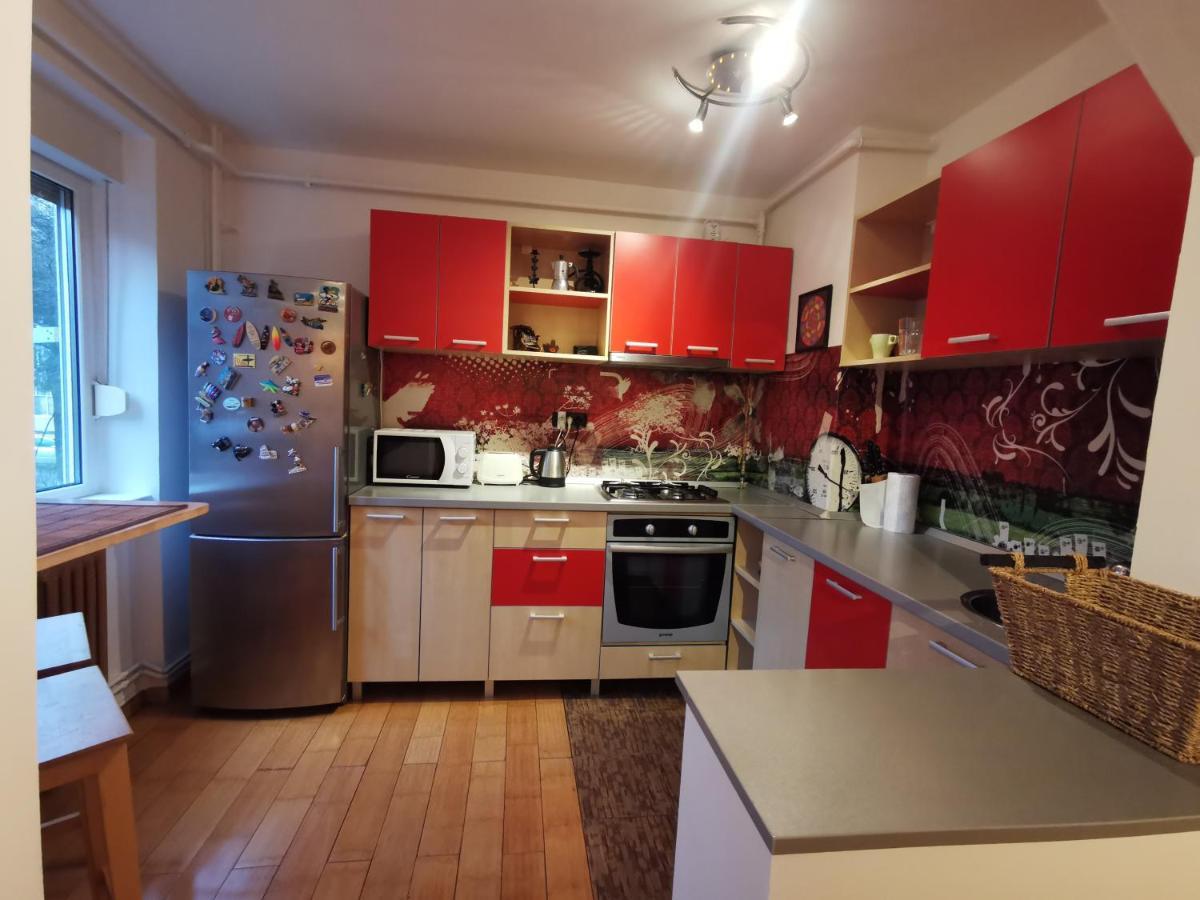 Comfy & Pleasant Apartment 10 Min Walk To Downtown Timişoara Eksteriør bilde