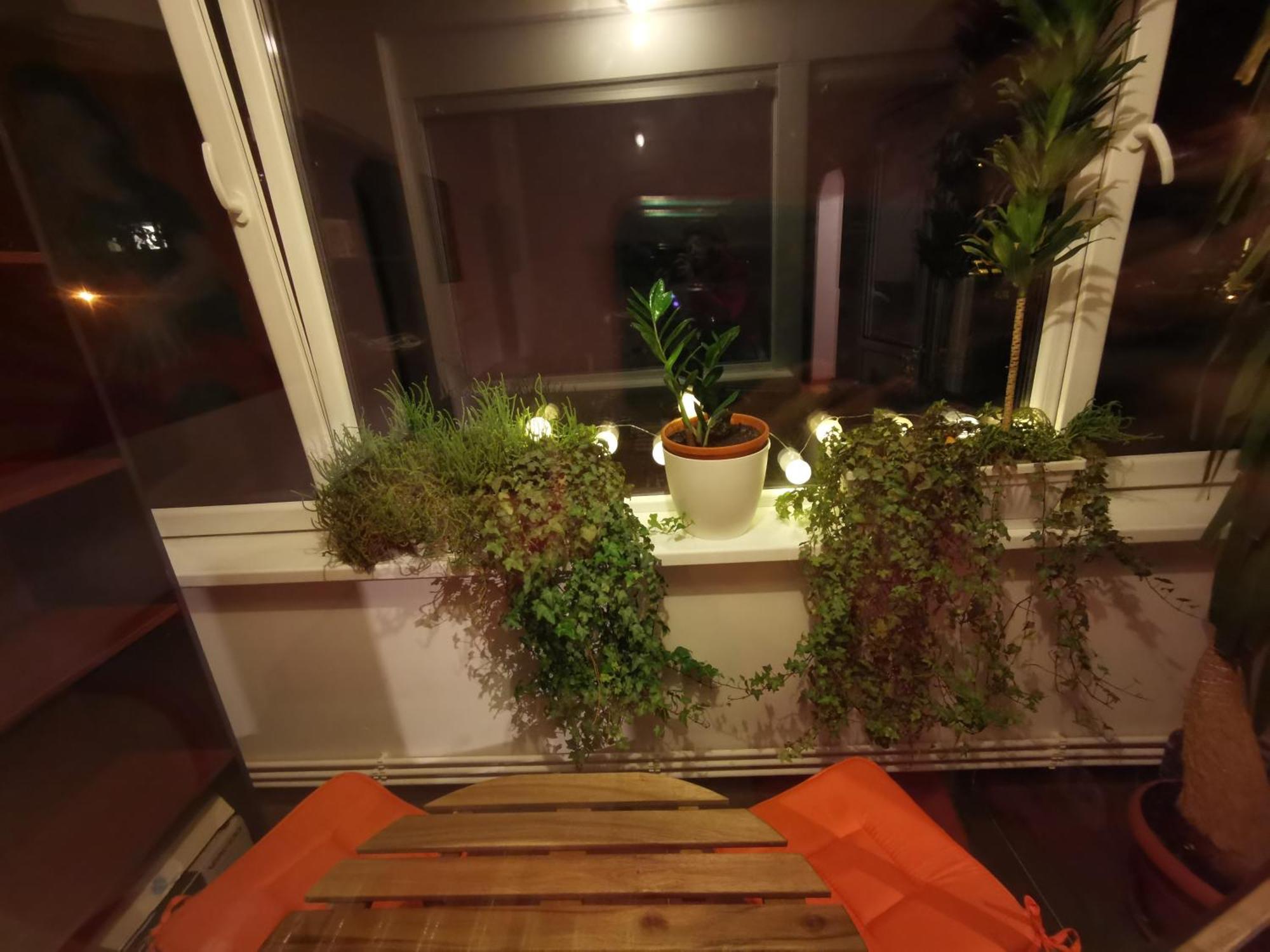 Comfy & Pleasant Apartment 10 Min Walk To Downtown Timişoara Eksteriør bilde