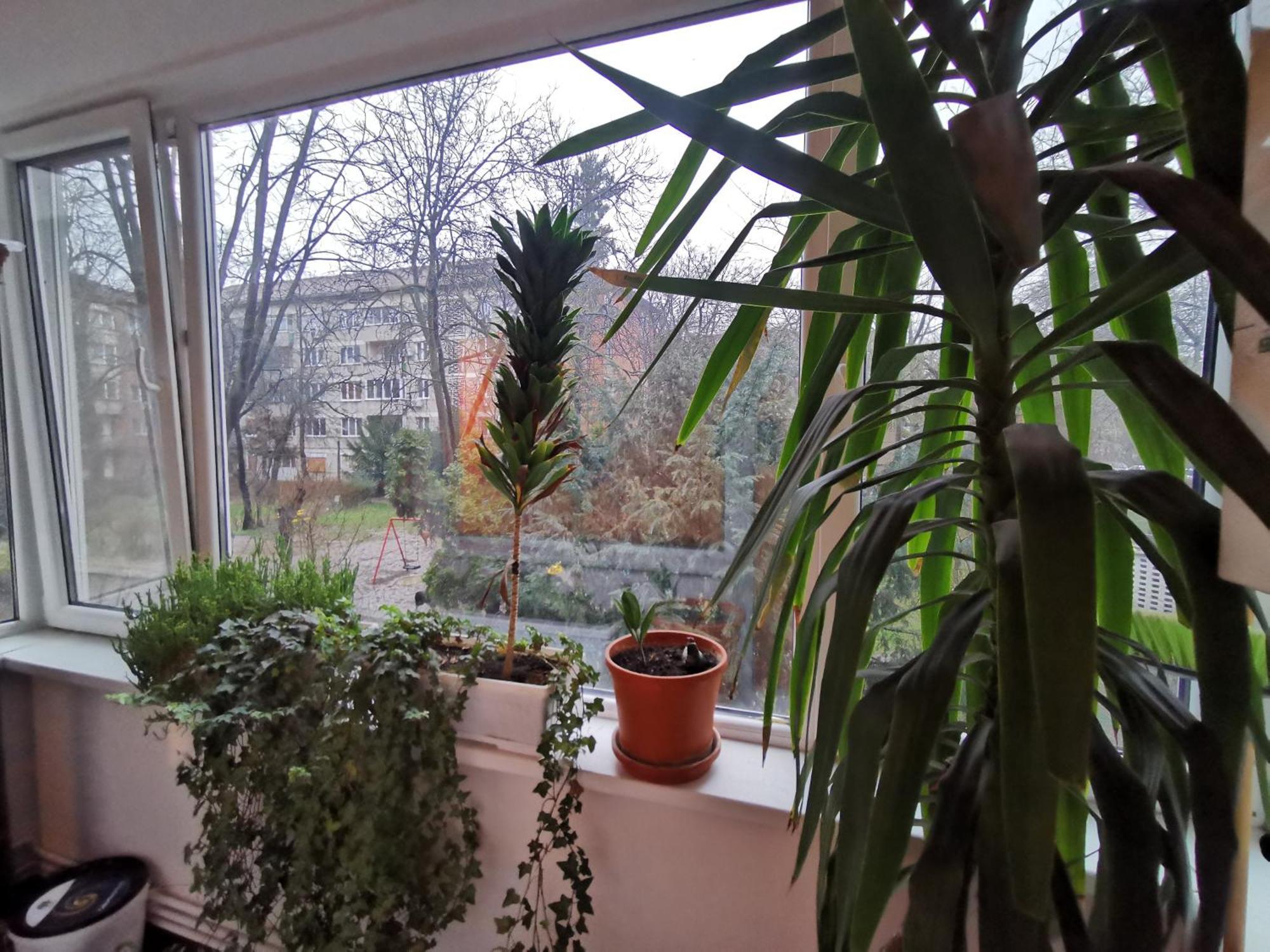 Comfy & Pleasant Apartment 10 Min Walk To Downtown Timişoara Eksteriør bilde