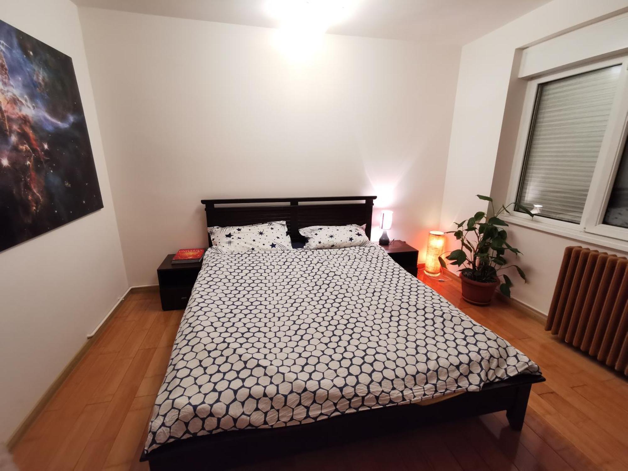 Comfy & Pleasant Apartment 10 Min Walk To Downtown Timişoara Eksteriør bilde