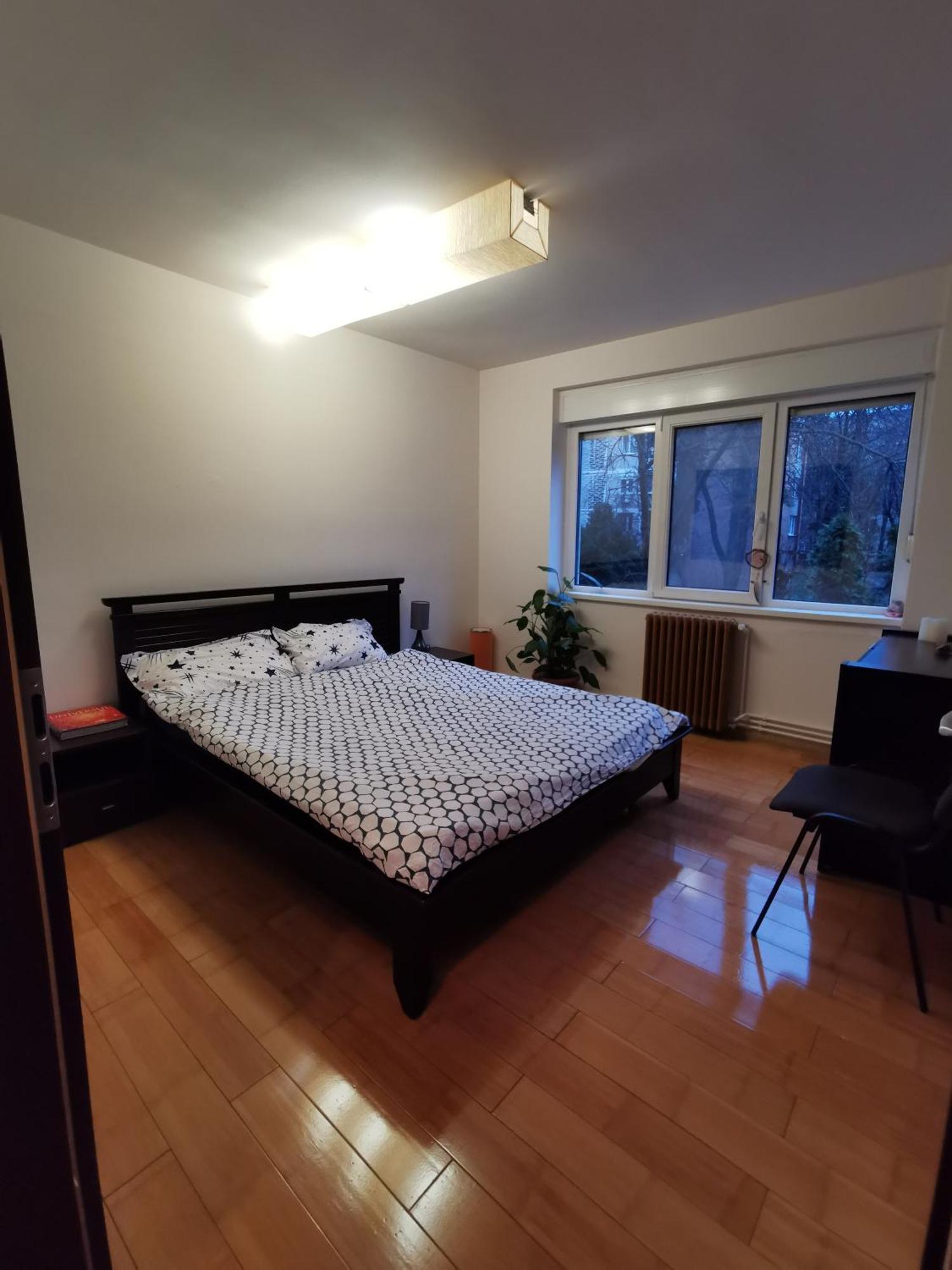 Comfy & Pleasant Apartment 10 Min Walk To Downtown Timişoara Eksteriør bilde